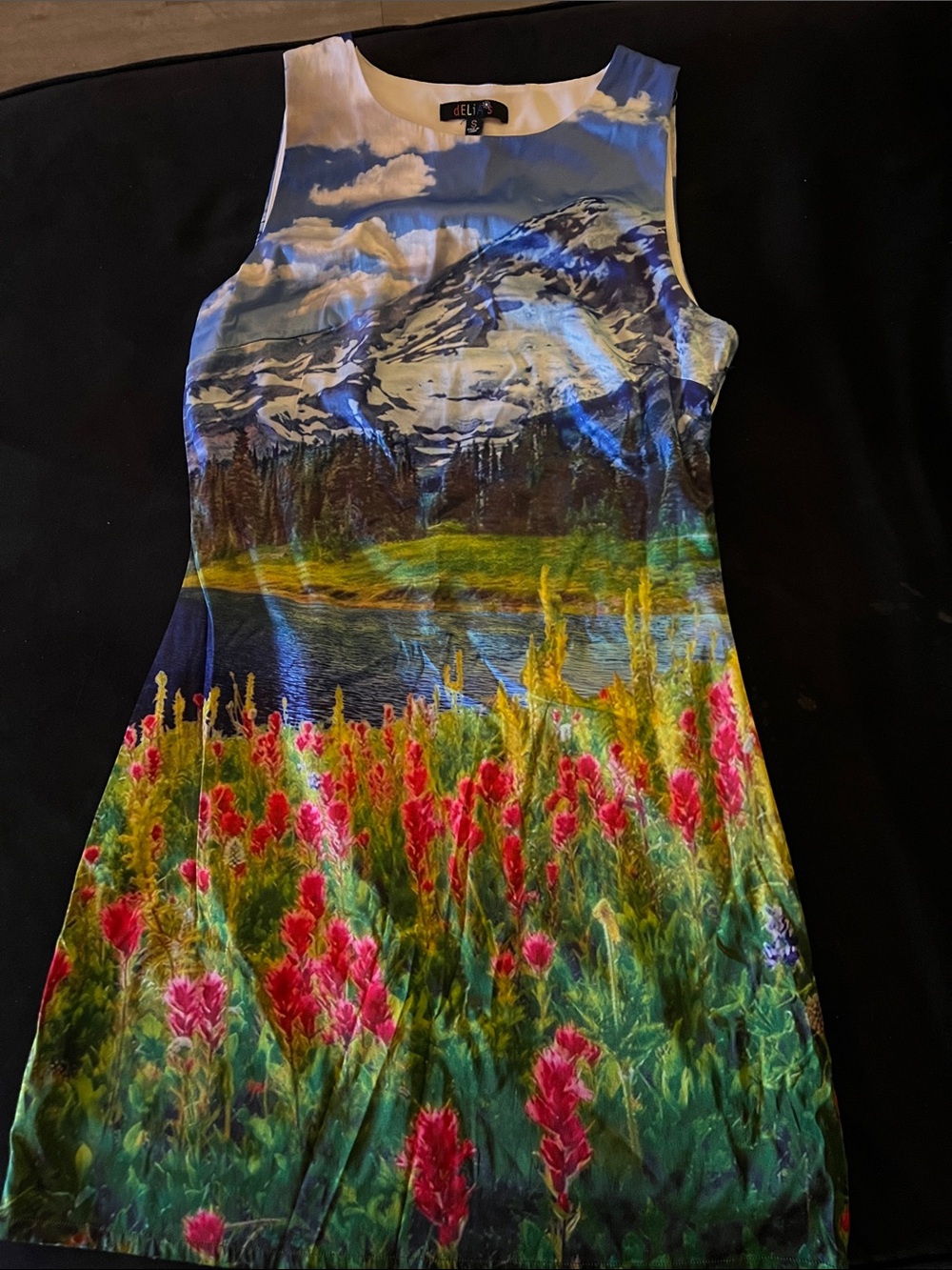 Super Cute, Beautiful Scenery & Stylish Dress.  Size Small